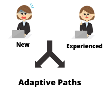 Articulate Rapid E-Learning Blog - knowing your online learners and adaptive paths